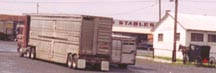 Double deck trailer being used to ship horses to slaughter.