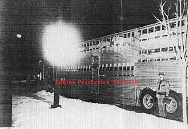  Nickerson Livestock's Double Deck trailer with horses inside.