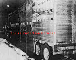  Nickerson Livestock's Double Deck trailer with horses on both decks.