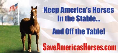 Save America's Horse Slaughter Billboard campaign