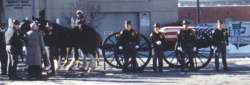Horses are used to pull the caisson platoon