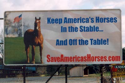 Save America's Horses Billboard in Coatesville, PA