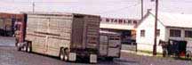 Double deck trailer, illegal in PA, NY, VT & MA to trransport ANY horse.