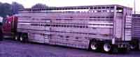 Double deck cattle trailer used to transport horses to Canadian slaughterhouses.