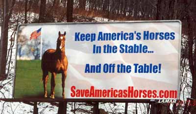 Save America's Horses billboard in Frackville, PA