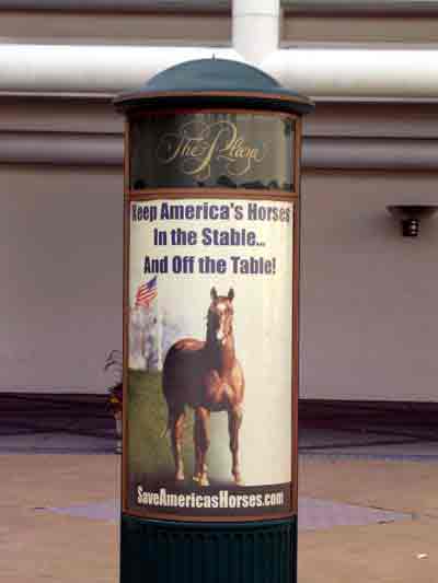 Closeup of Save Americas Horses Shopping Mall poster at King of Prussia Shopping Mall