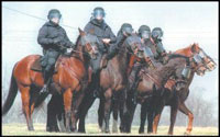 Mounted swat team
