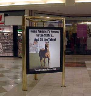 Save America's Horses Billboard rides into the Oakdale Mall Shopping Mall