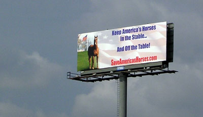 Save America's Horses Billboard towers over center city Philadelphia