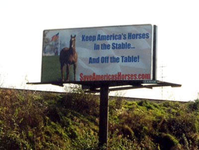 Save America's Horses Billboard in Reading, PA