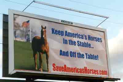 Save America's Horses billboard in Scranton, PA